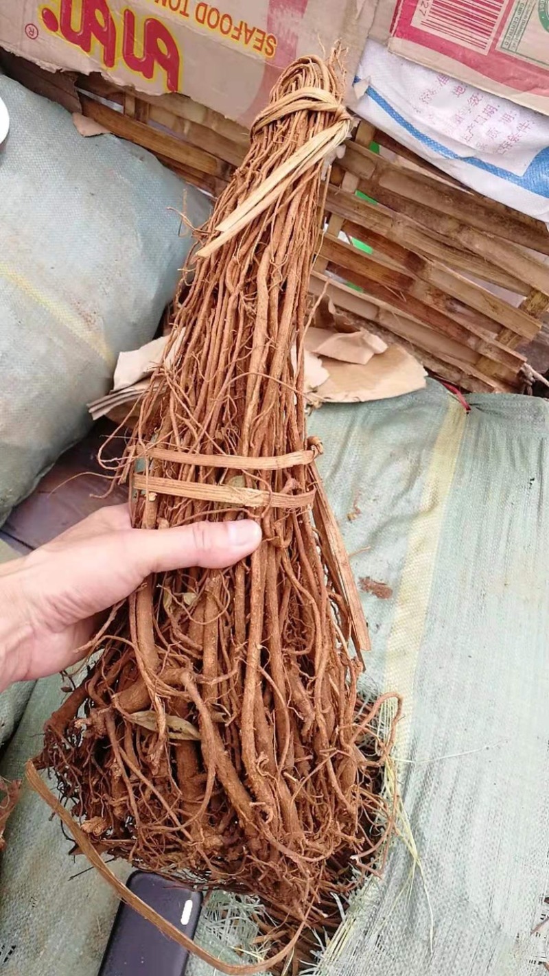小叶红皮千斤拔干货野生千斤拔直条野生千斤拔干货千斤拔黄泥