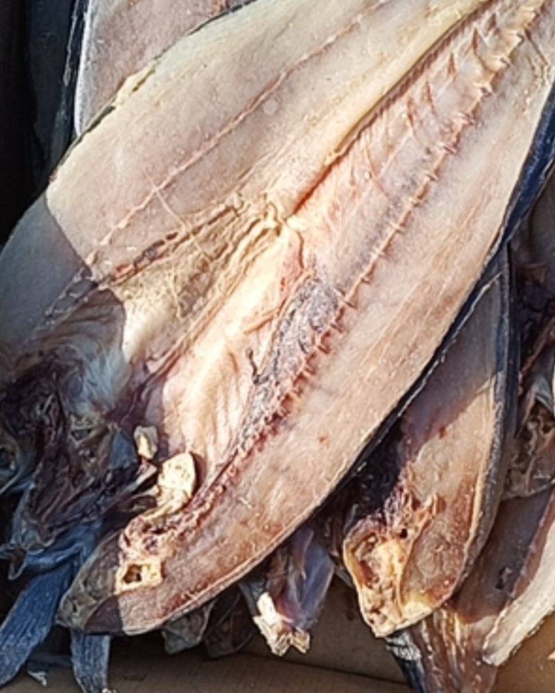 霸鱼新鲜香味美价廉煎、炸、炖、都好吃，有需要的关注。
