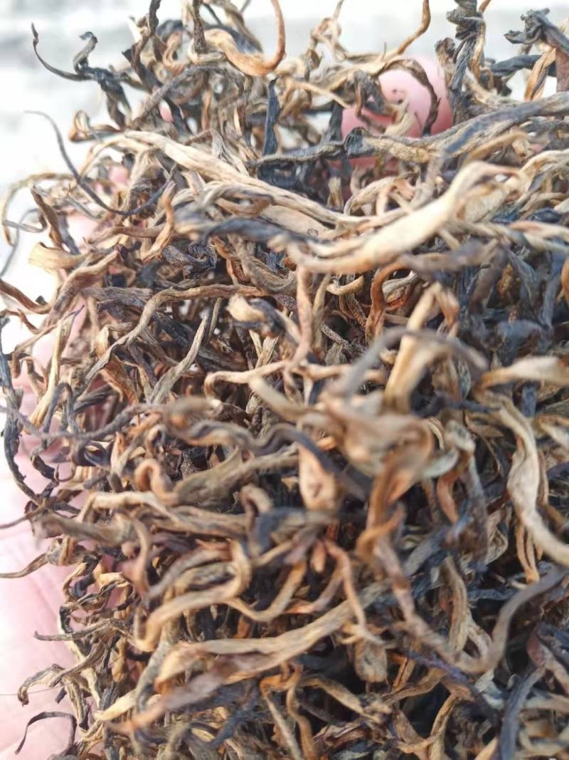 云南马关千年古树红茶