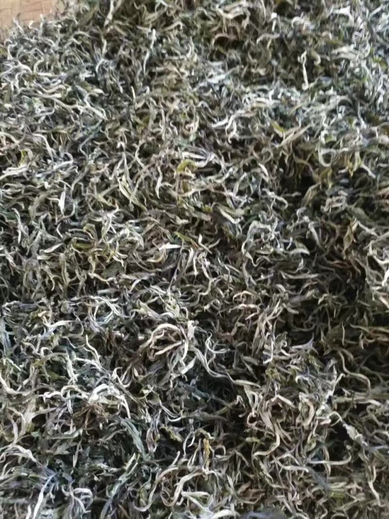 云南马关千年古树茶晒青