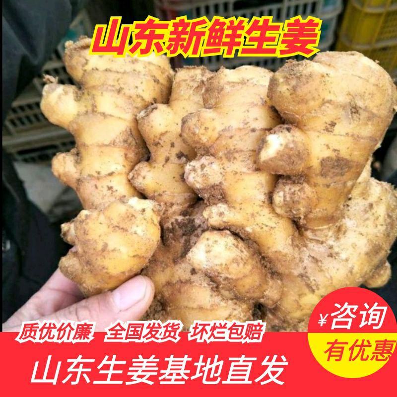 生姜大黄姜小黄姜带土可水洗可视频看货货源充足颜色
