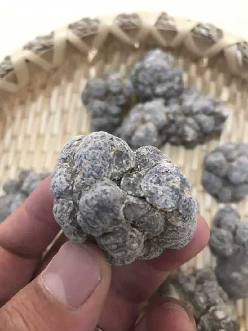 云南文山精选高品质三七