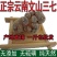云南文山精选高品质三七