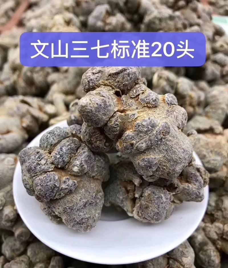 云南文山精选高品质三七