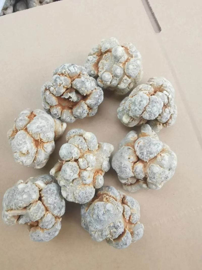 云南文山精选高品质三七