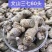 云南文山精选高品质三七
