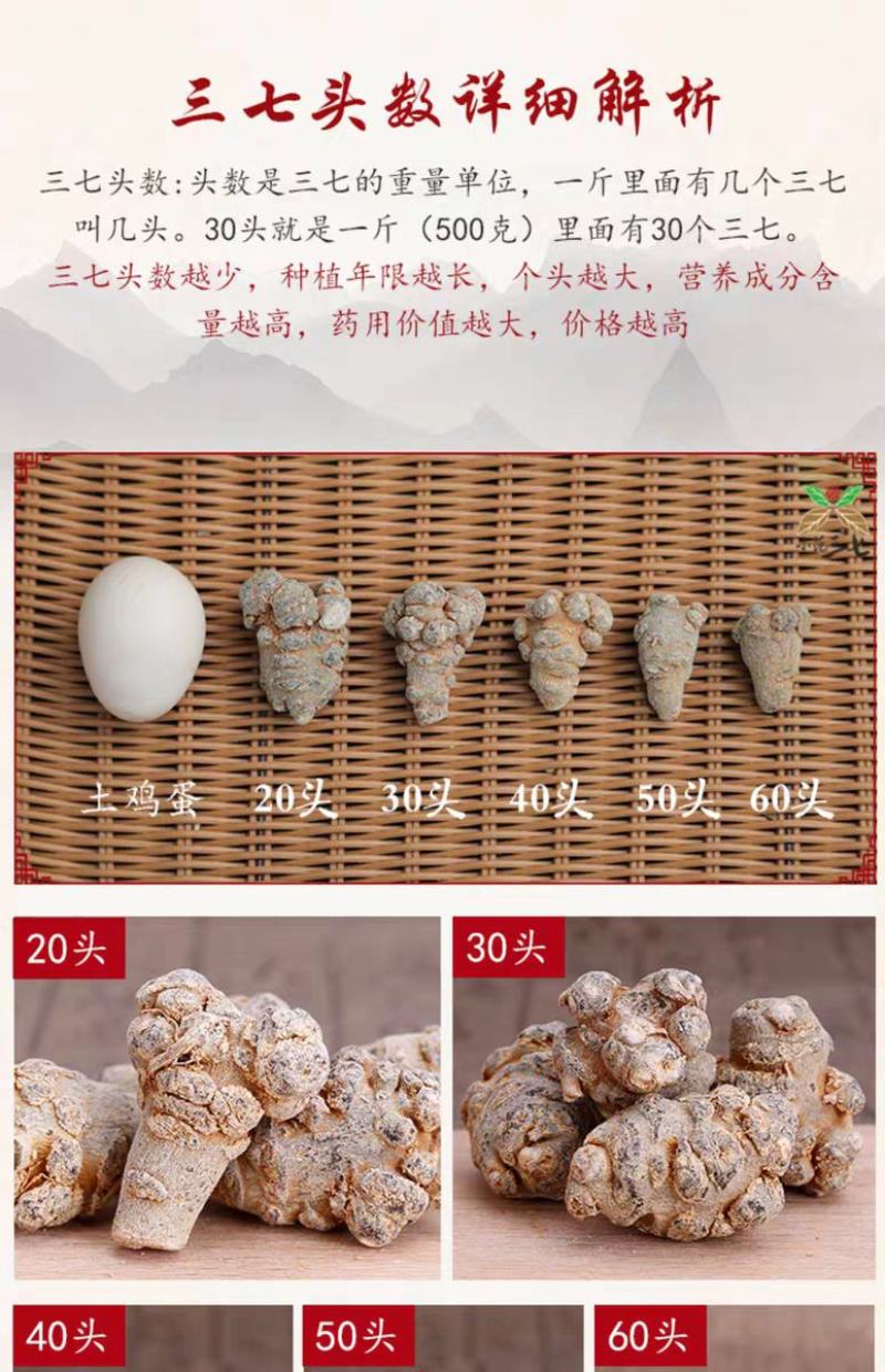 云南文山精选高品质三七