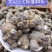 云南文山精选高品质三七