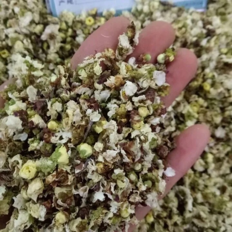 白梅花绿梅花绿萼梅保庆药业批发