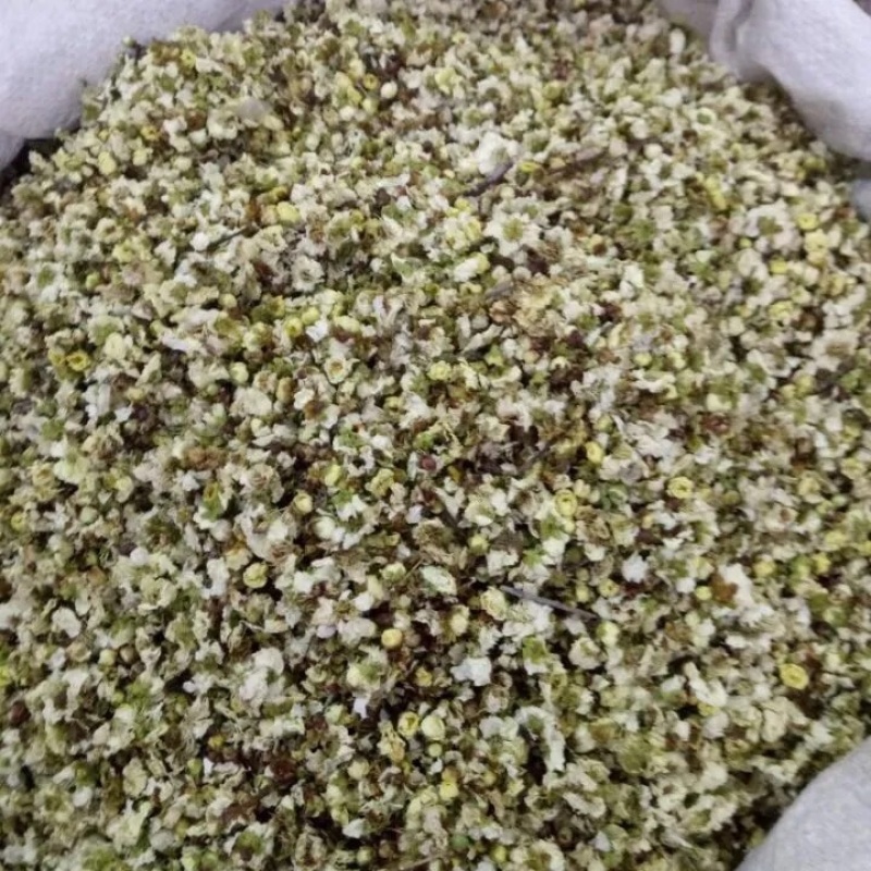 白梅花绿梅花绿萼梅保庆药业批发