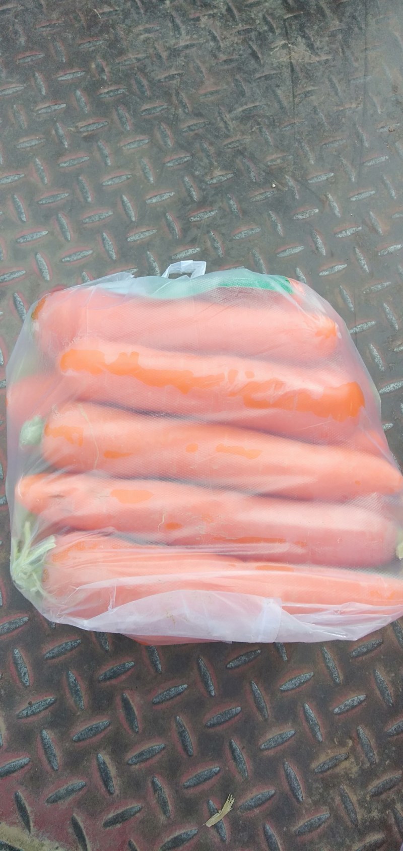 精品红萝卜泥萝卜质量好量大欢迎各地老板咨询