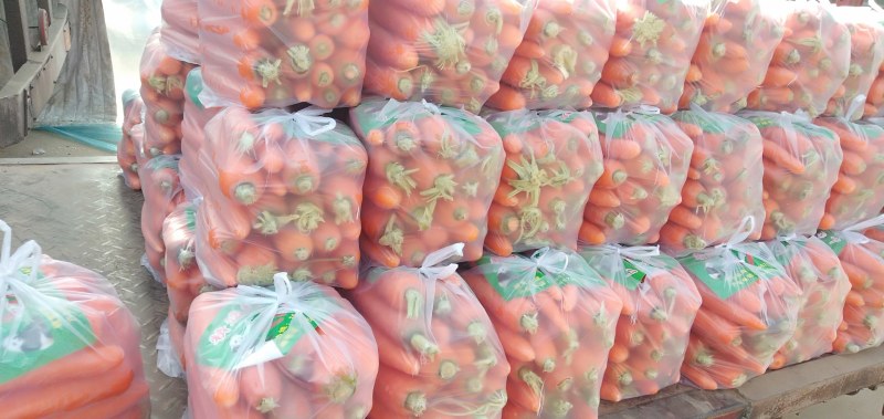 精品红萝卜泥萝卜质量好量大欢迎各地老板咨询