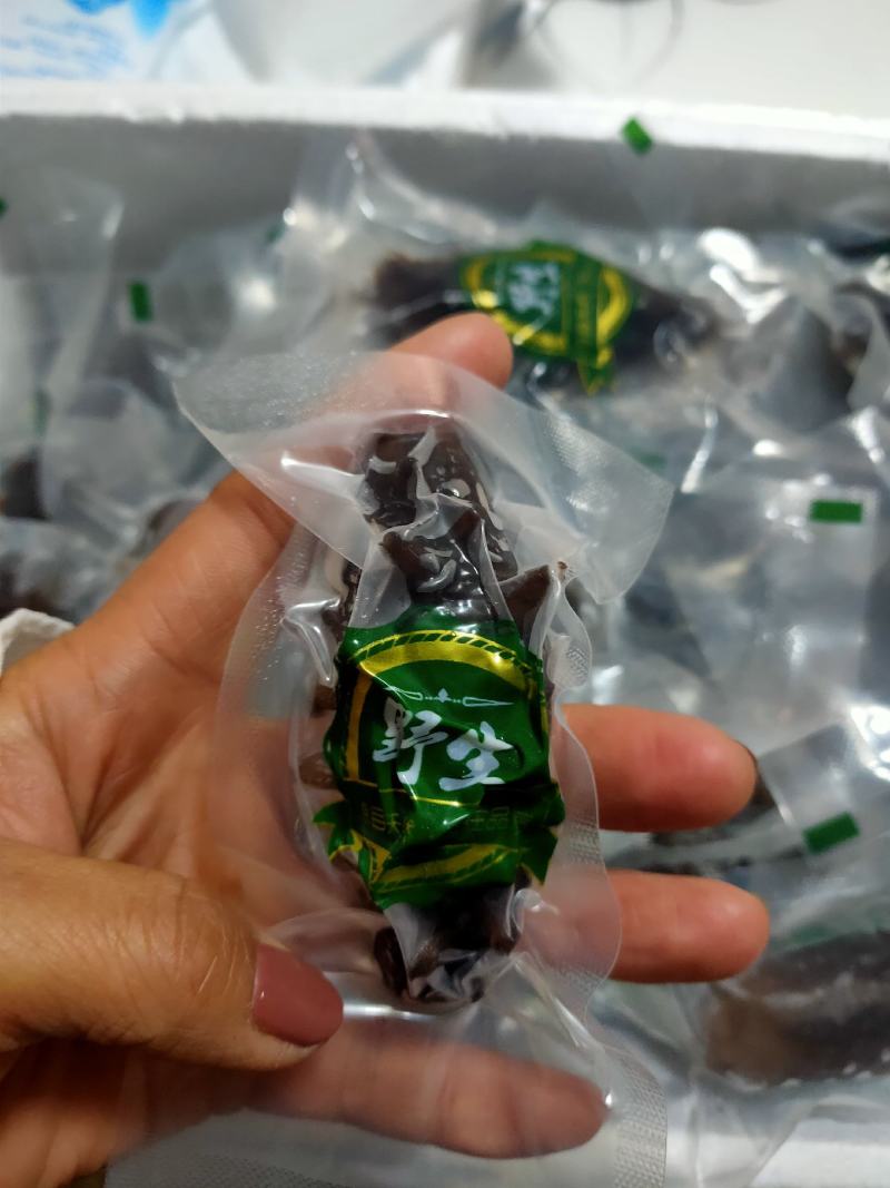 海参辽参大连参独立包装支持线上交易可视频看货