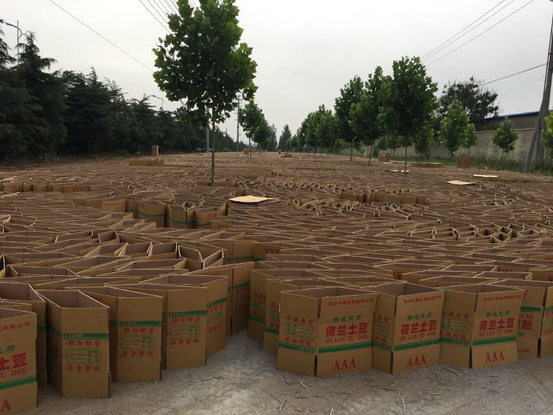 纸箱，蔬菜纸箱，礼盒，包装用品，志诚包装材料加工厂授权
