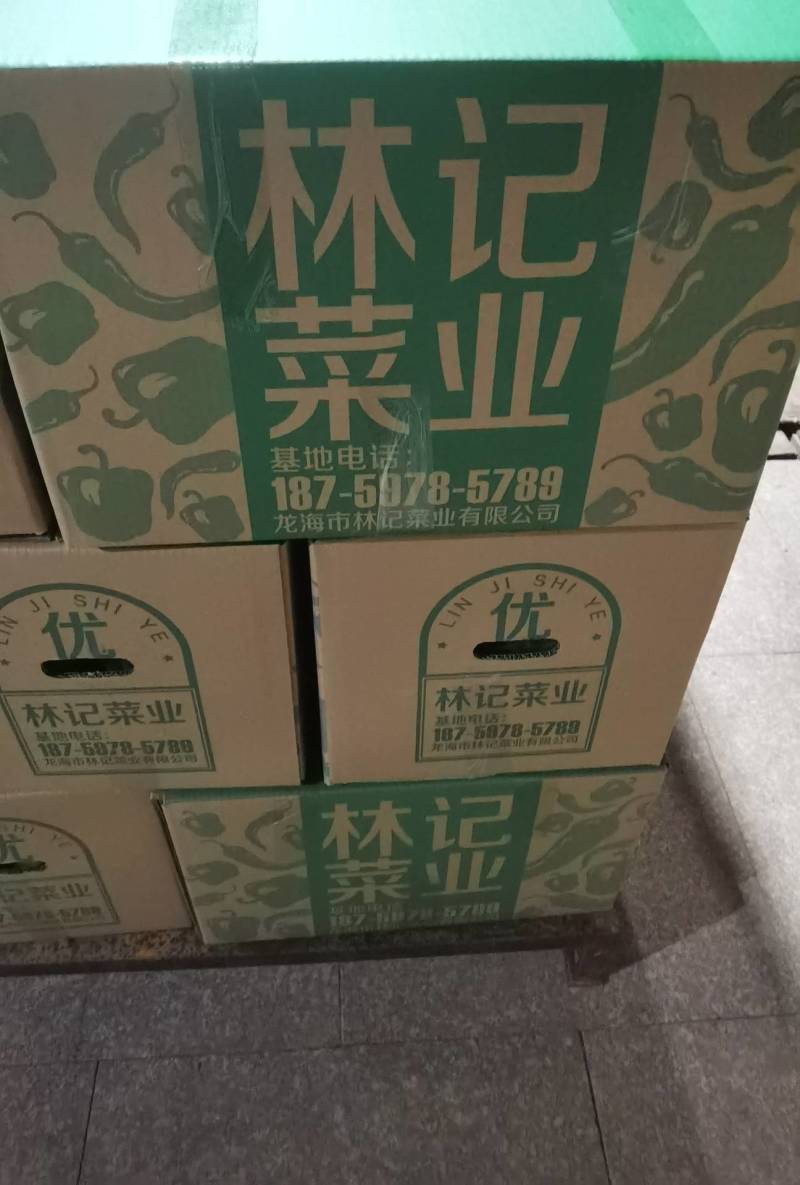 【圆椒】产地直销量大从优品质保证欢迎咨询