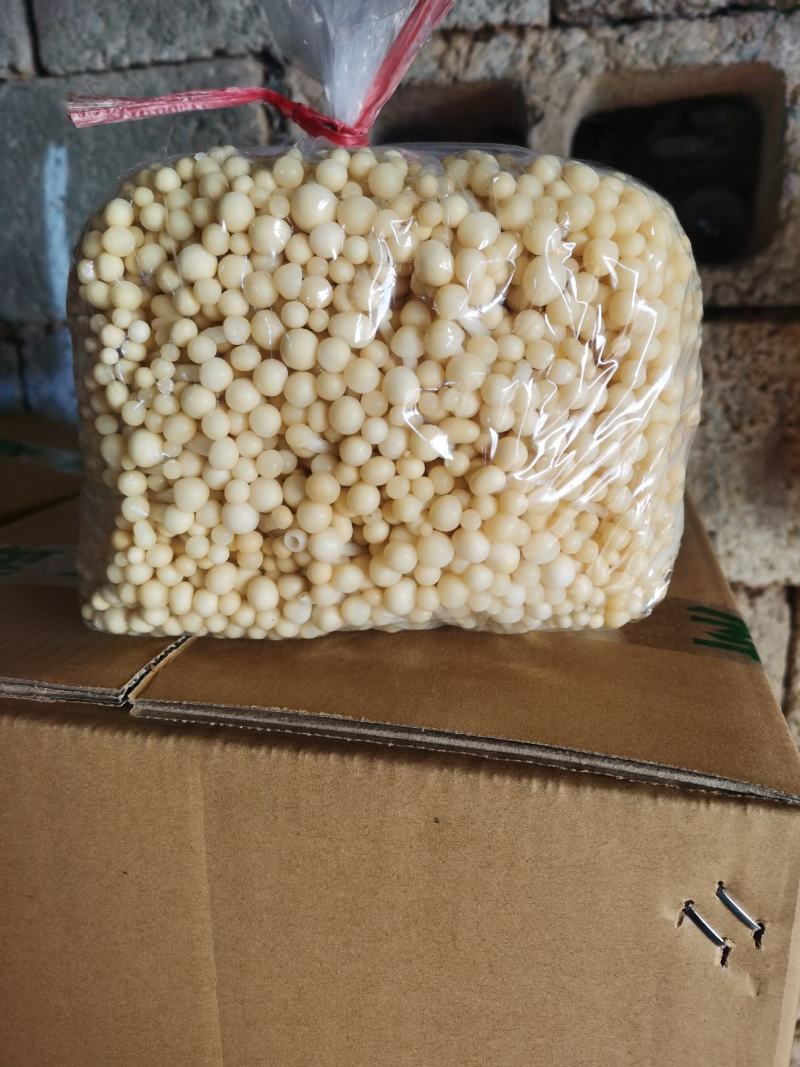 黄金针菇大量上市中，质量更好，精品黄金针菇多种包装！