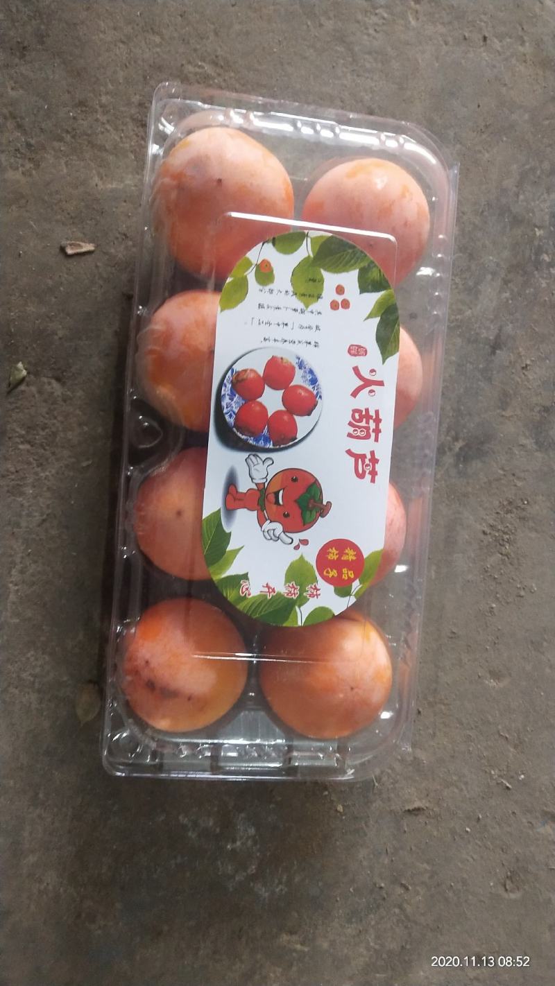火葫芦，吊红柿子大量上市！对接各大商超，电商平台