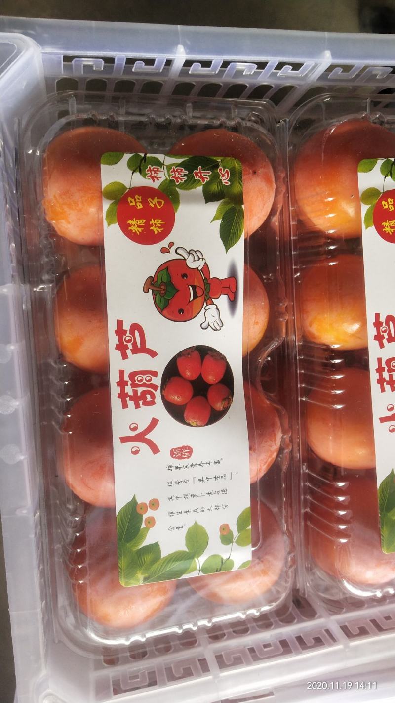 火葫芦，吊红柿子大量上市！对接各大商超，电商平台