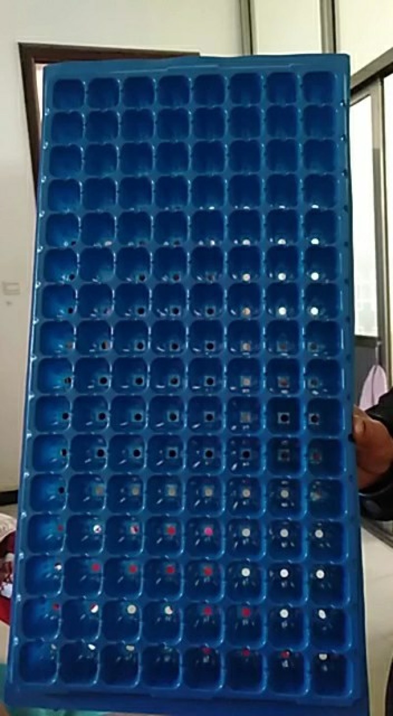 育苗穴盘，21孔32孔50孔72孔98孔105孔128孔