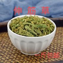 包邮伸筋草500g克无硫中药材野生舒筋草狮子草新货