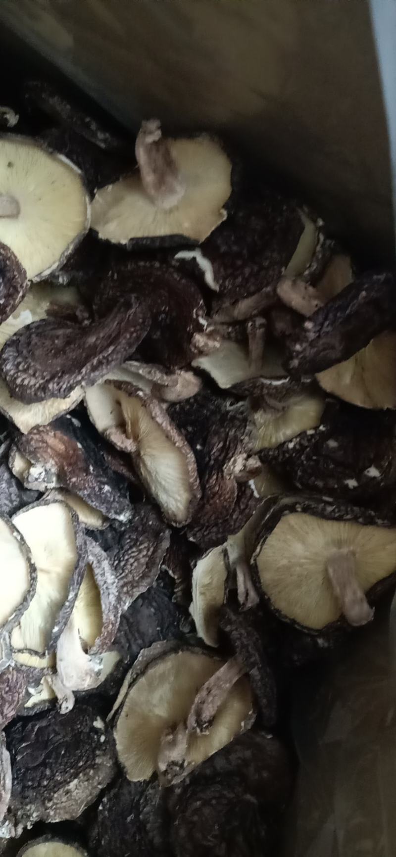 野生香菇3-4薄，菇圆，足干，一件42斤