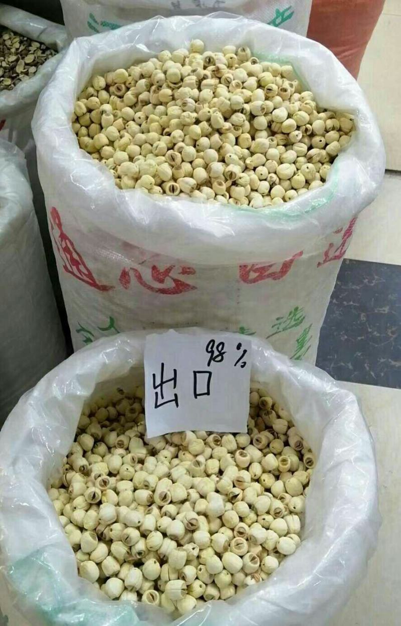 【空心莲子】空心莲子97%空心以上干净无添加干度好