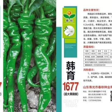 辣椒种子超大果拢椒韩育1677辣椒种子大面积种植
