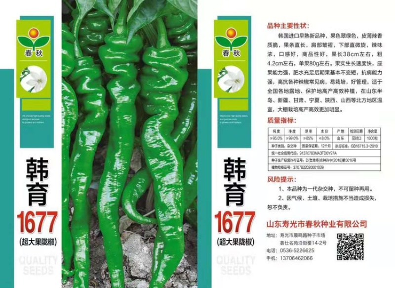 辣椒种子超大果拢椒韩育1677辣椒种子大面积种植