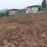 标准化果园出租50亩起租道路管道通平均地租每亩450