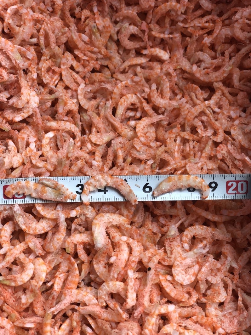 净9.7斤大个麟虾仁，让客户赚钱为理念,买货看一下回头率