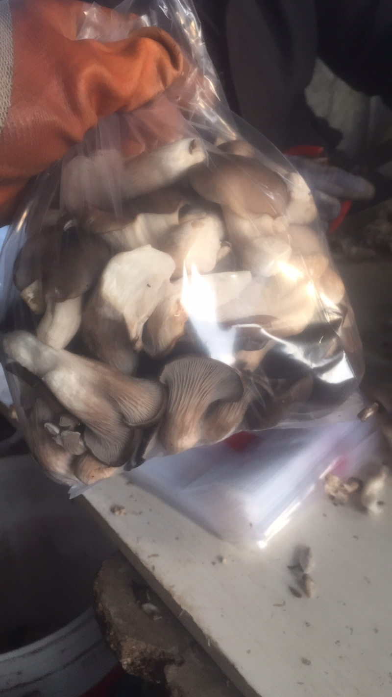大灾之时，平价交易进行时。