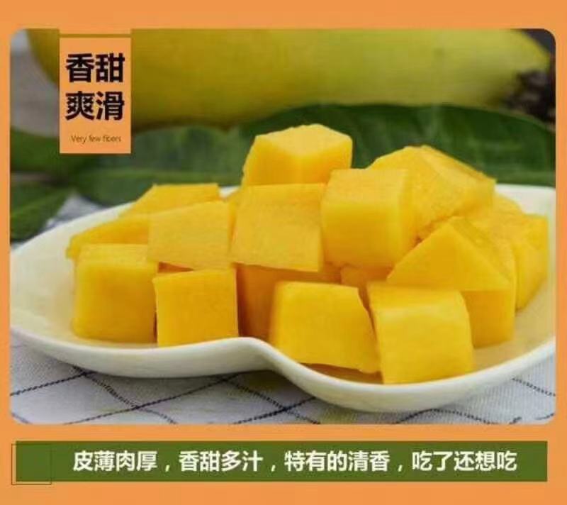 海南金煌芒礼盒装供应大量货源自提代发对接各大平台