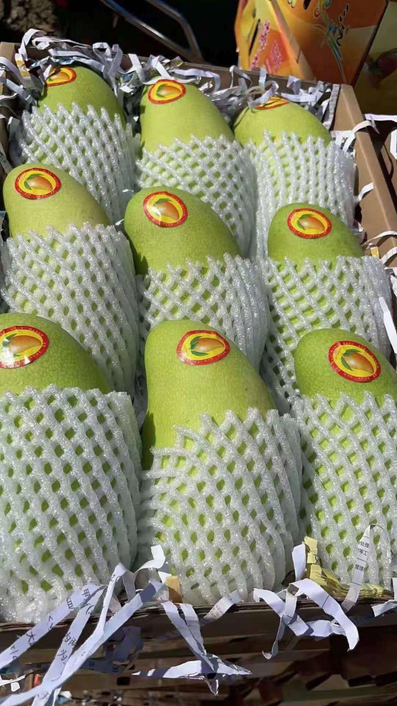 海南金煌芒礼盒装供应大量货源自提代发对接各大平台