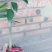 黄美人柑桔苗带土球(基地直供，品种保证)
