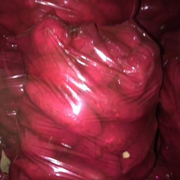 大量出售龙9，西瓜红