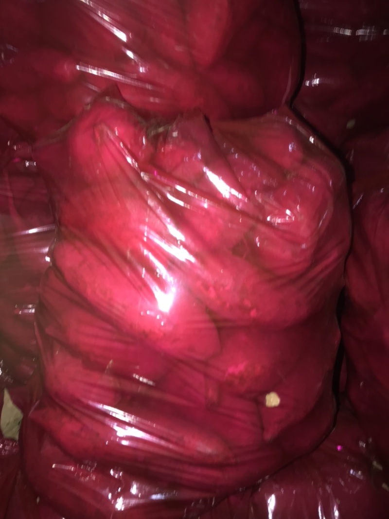 大量出售龙9，西瓜红
