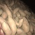 大量出售龙9，西瓜红