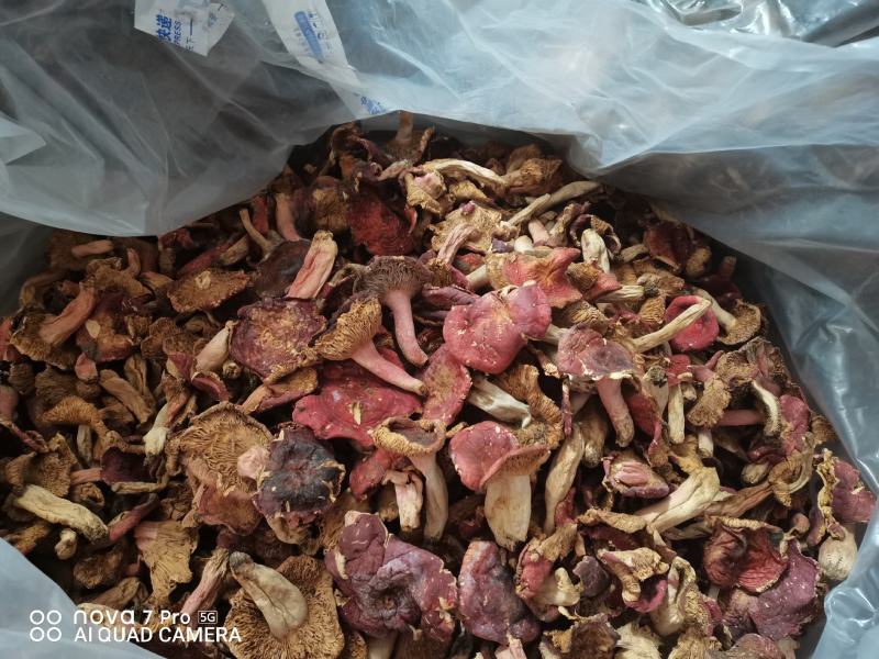 野生菌产地直销，一手货源