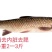 草鱼去鳞去内脏去腮/开背草鱼/烧烤水煮鱼/特色食材原味