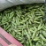 优质青蚕豆和白蚕豆大量上市，颜色好质量好货源充足，