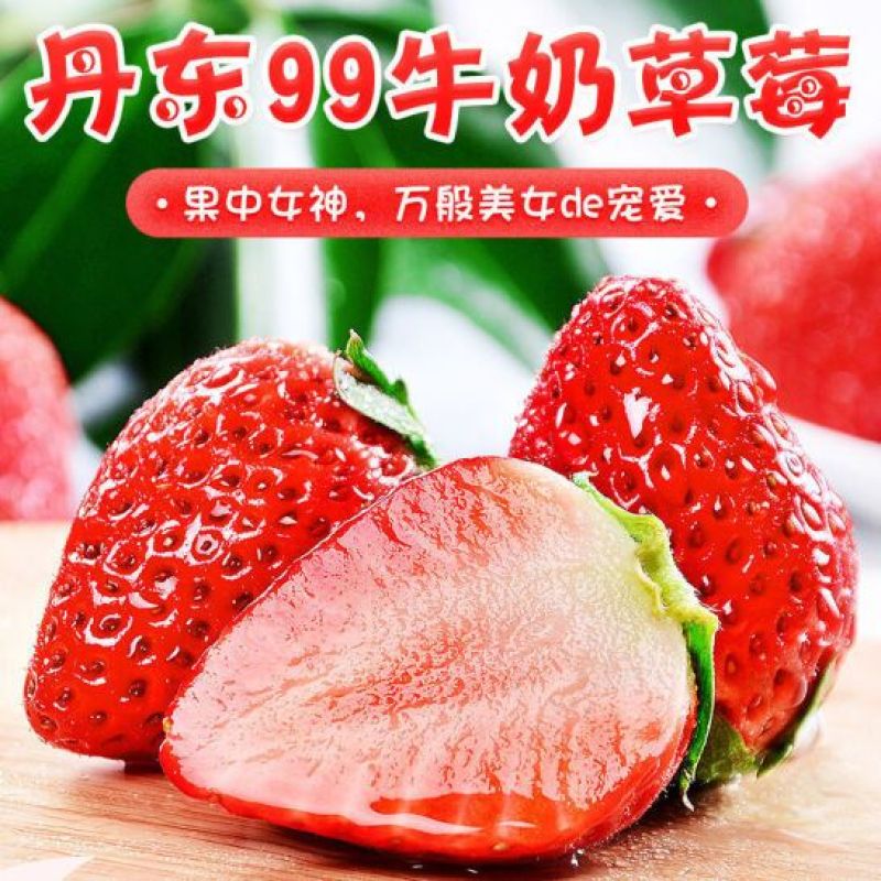 丹东99红颜东港奶油草莓招电商商超批发产地直发