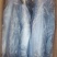 冻品鲅鱼，渤海湾鲜活鲅鱼速冻成品，一手货源质量保证