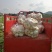 四川圆白萝卜圆宝品种基地大量供应，果面干净无病虫害