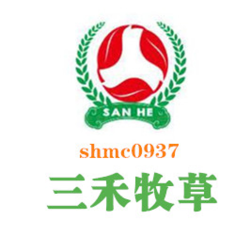 甘肃酒泉紫花苜蓿草兔粮食干草兔子龙猫荷兰猪饲料宠物草