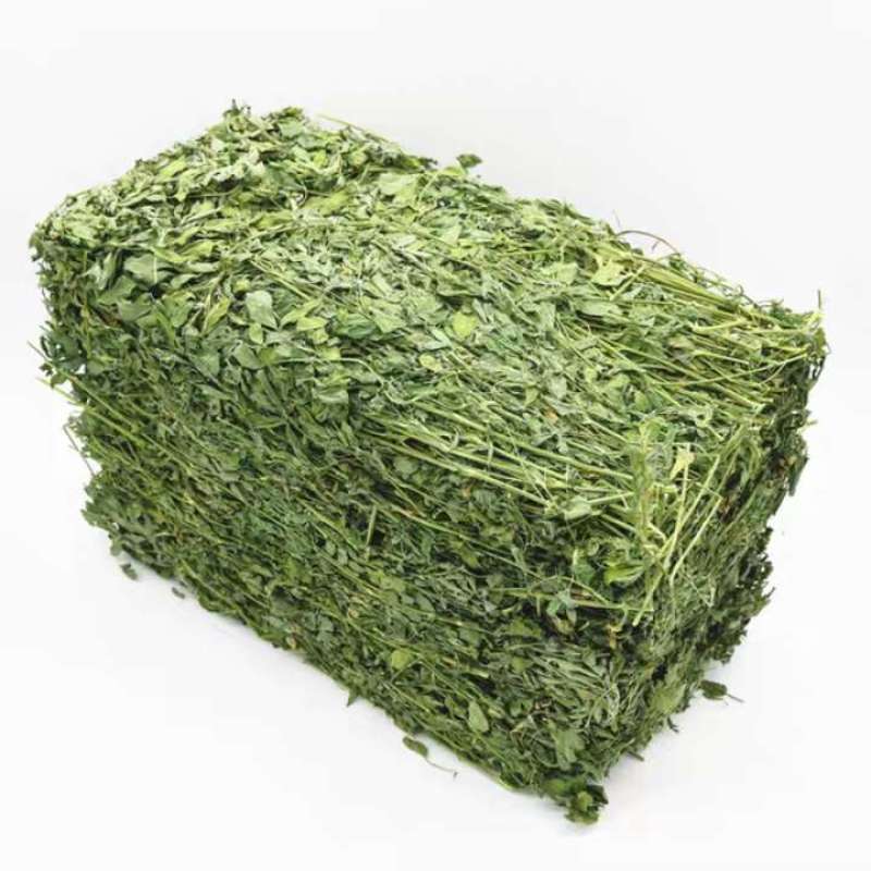 甘肃酒泉紫花苜蓿草兔粮食干草兔子龙猫荷兰猪饲料宠物草