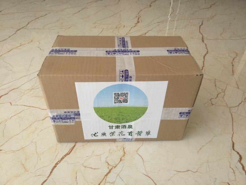甘肃酒泉紫花苜蓿草兔粮食干草兔子龙猫荷兰猪饲料宠物草