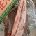 五花肉新鲜冷冻带皮五花肉猪肉前上肉20斤酒店饭店食