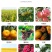 75%百菌清杀菌剂白粉病霜霉病叶斑病叶锈病花卉植物果树通