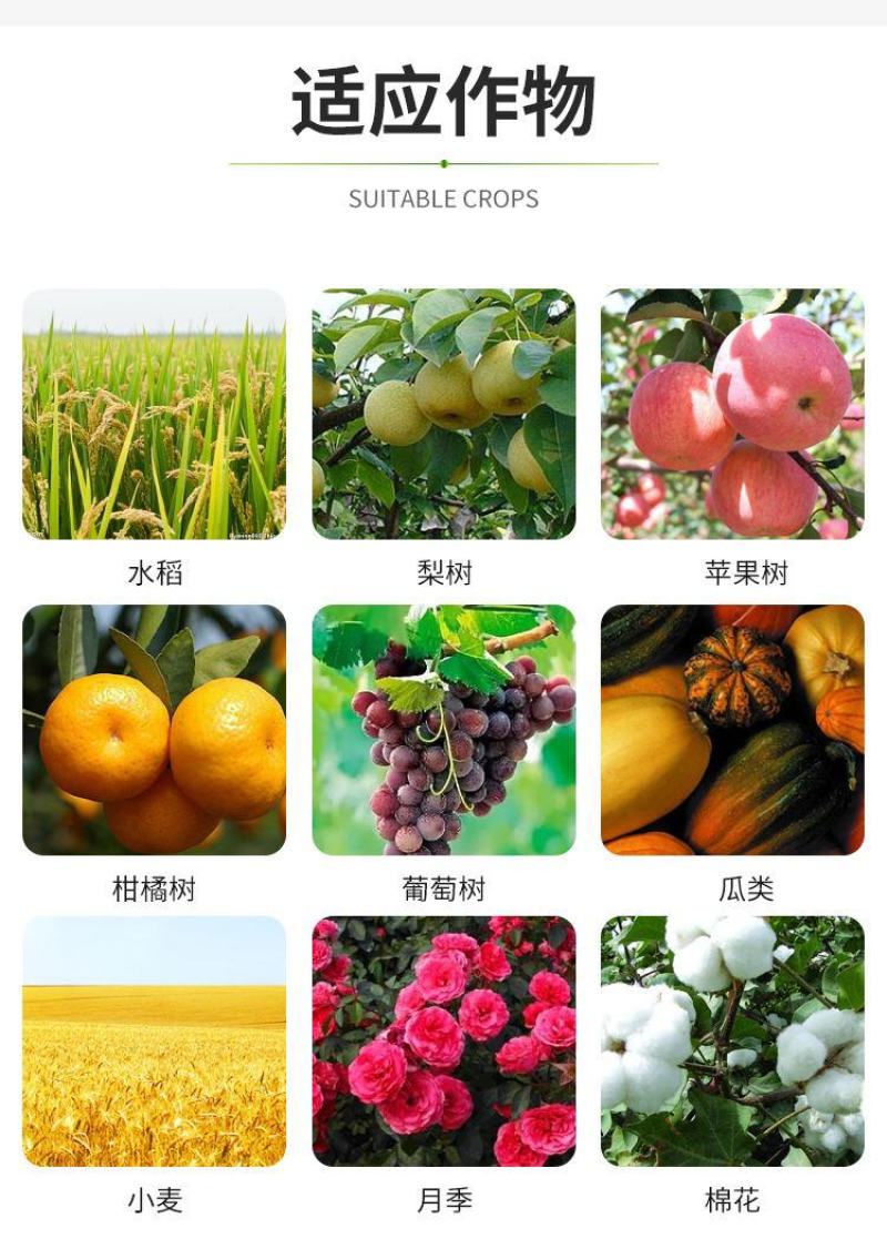 75%百菌清杀菌剂白粉病霜霉病叶斑病叶锈病花卉植物果树通