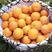 冰糖橙产地橙子柑橘看货采摘保质保量欢迎订购